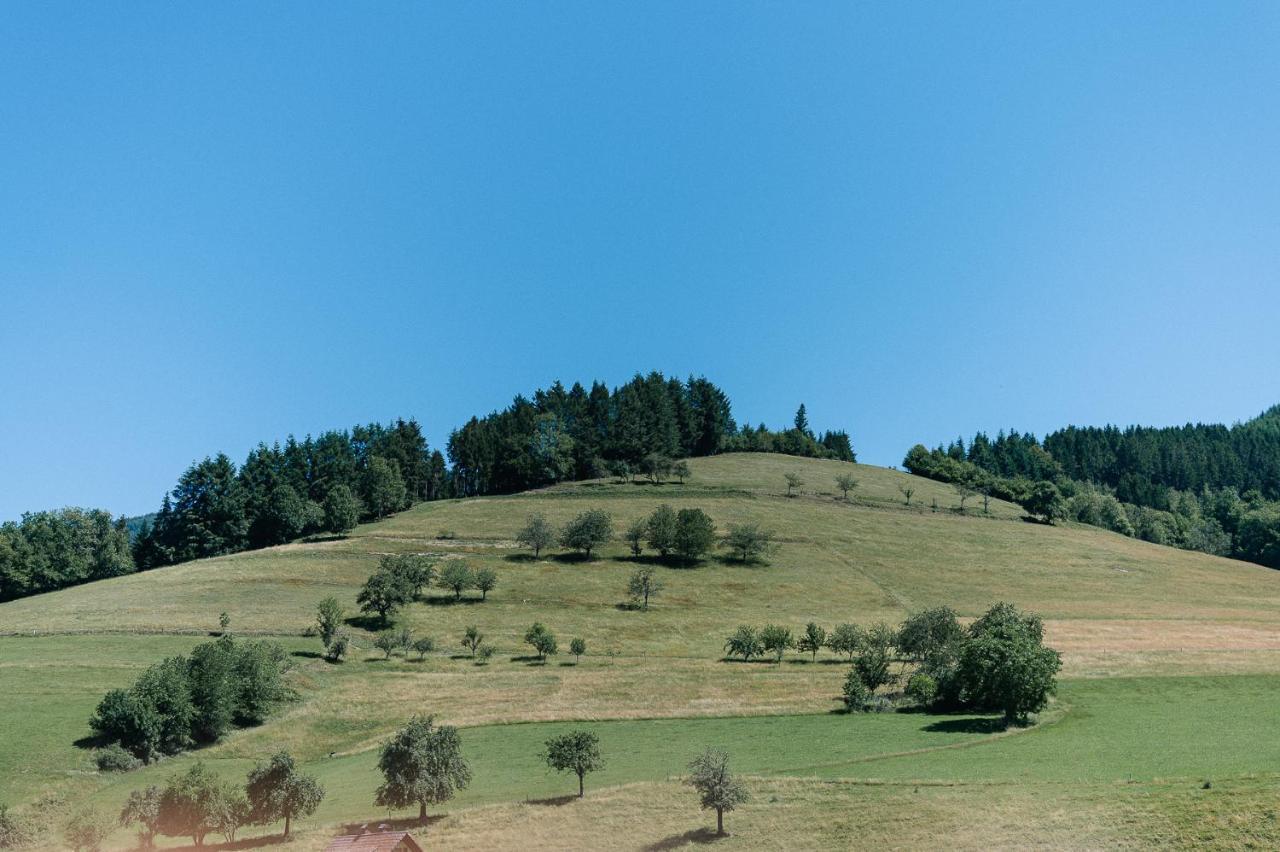 Moderne 2 Zi.Fewo Blackforest Art Naehe Freiburg Simonswald Exterior foto